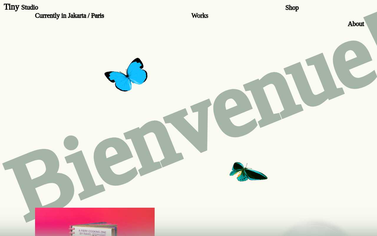 screenshot-Tiny Studio