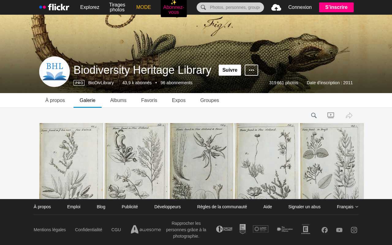 screenshot-Biodiversity Heritage Library | Flickr